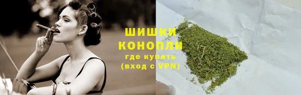 меф Арсеньев