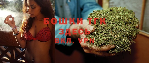 меф Арсеньев
